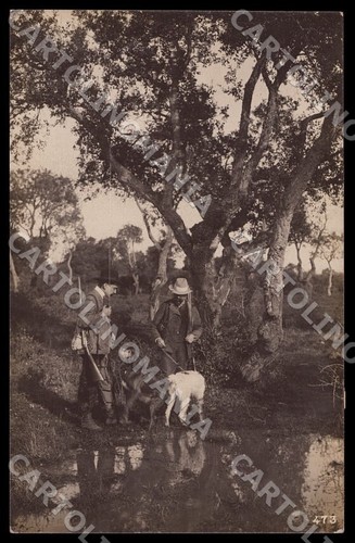 Parma noceto annullo caccia - noceto,