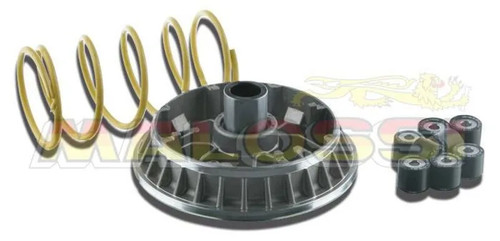Variatore malossi multivar - variatore,