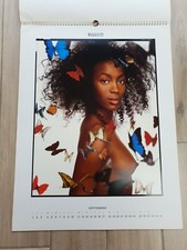 Calendario pirelli 1995 naomi - pirelli,