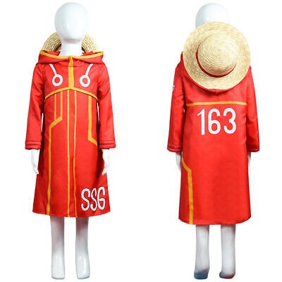 Costume anime one piece - one,
