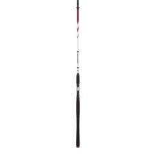 PENN SQUADRON II SW Spin canna