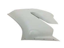 CARENA DUCATI PANIGALE 1299