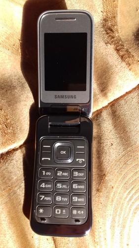 Cellulare samsung argento - cellulare,