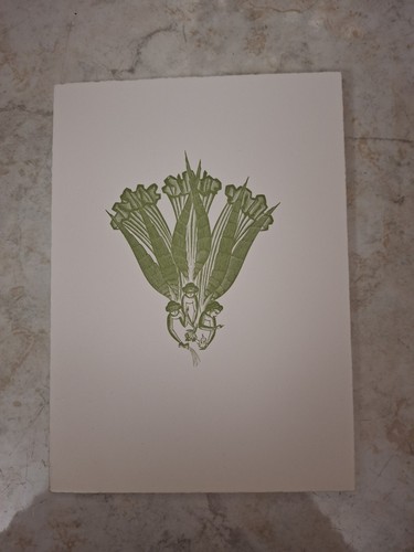 Biglietto xilografia italo - biglietto-xilografia, di