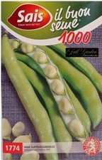 SEMI SEMENTI FAVA SUPERAGUADULCE PIANTA VERDE LEGUMI ORTAGGI VERDURE 