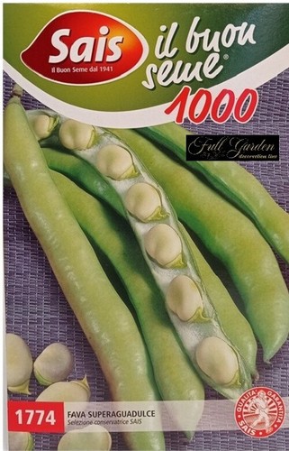 Semi sementi fava - semi,