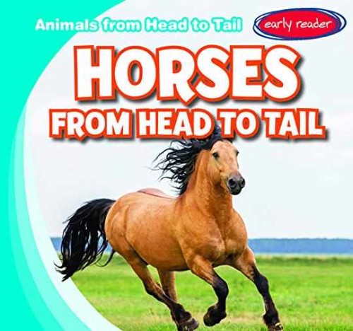 Horses from head tail - horses,
