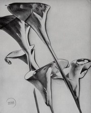 Stampa fotografica vintage Man Ray natura morta studio incisione litografia arte 1920 mat 13x15