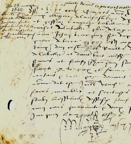 1542 manoscritto pergamena - manoscritto,