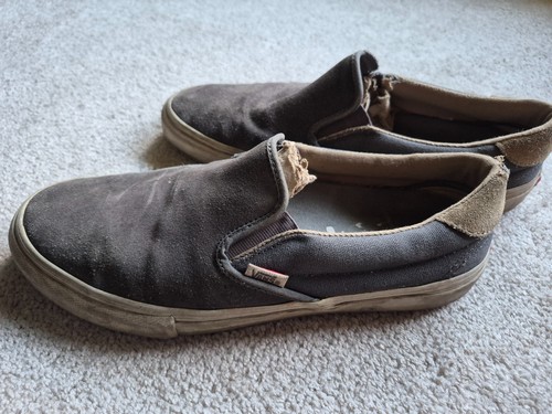 Vans slip grigio - slip,