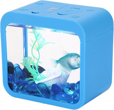 Betta Mini Acquario Acquario