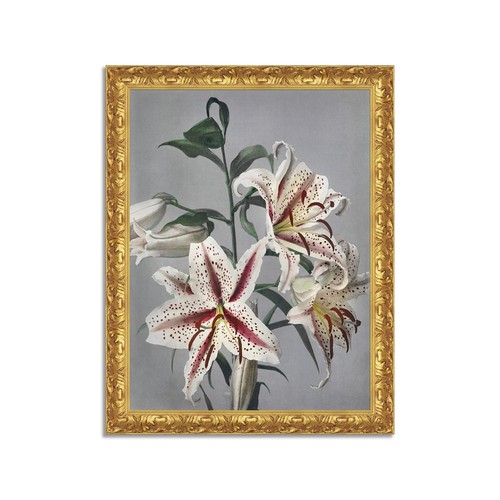 Quadro stampa tela effetto - tela,