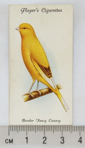 1933 john player sons aviary - &,