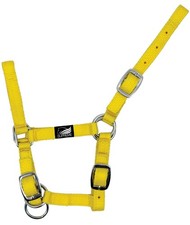 Cavezza puledro nylon - cavezza,