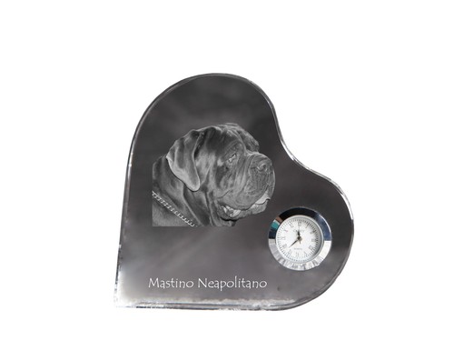 Mastino napoletano mastiff - mastino,