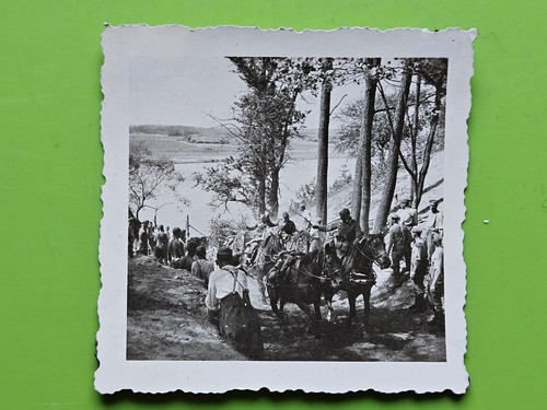 Foto ww2 cavalli trainare - foto,,