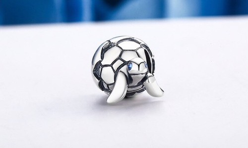 Charm argent 925 - 925,