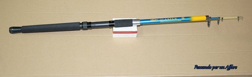 Canna pesca sarfix aster - pesca,