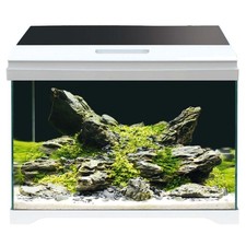 Acquario extra chiaro Amtra