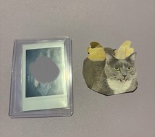 Polaroid ufficiale non