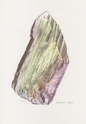 Spodumene kunzite gemma stampa - spodumene,