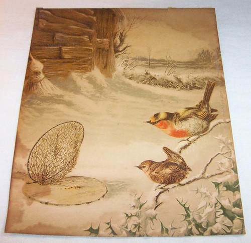 The bird trap antica - the,