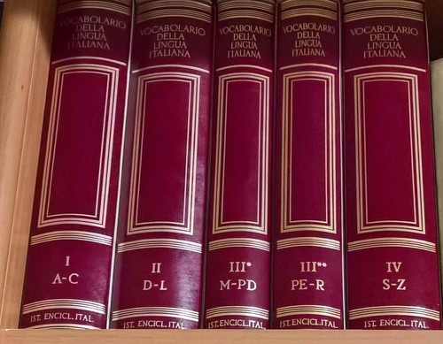 Vocabolario della lingua - vocabolario,