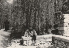 B2 -   Foto Photo Fotografia Anni 60 - Coppia Bambini  sotto salice piangente