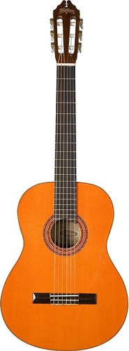 Washburn wsh chitarra - washburn, c5-wsh-a