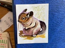 PANINI ALBUM ANIMALS
