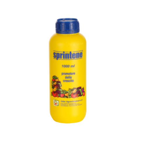 Sprintene regolatore promotore - regolatore,