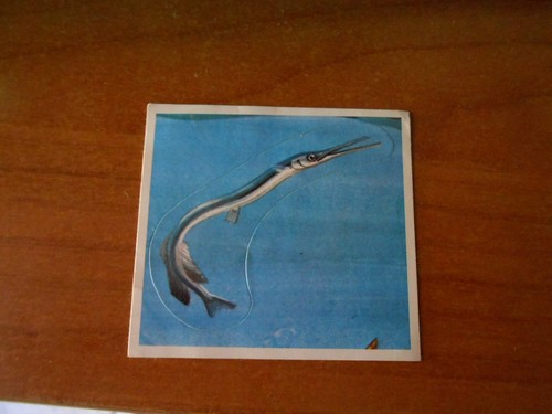 Figurina animali 198 - n.,