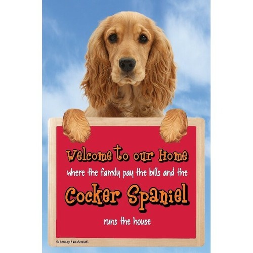 Insegna cane divertente golden - insegna,