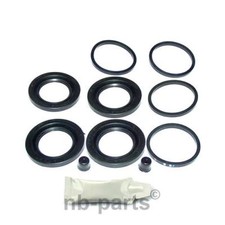 Pinza Freno Riparazione