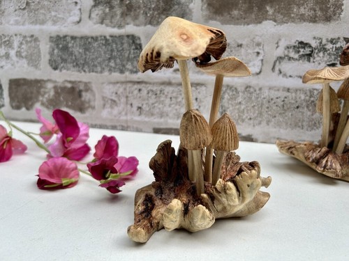 Funghi intagliati mano - funghi,