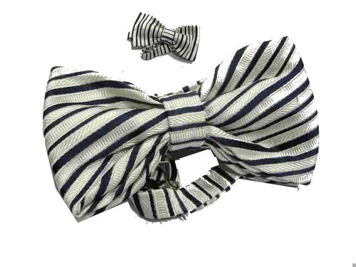 Papillon uomo bianco lucido - , a