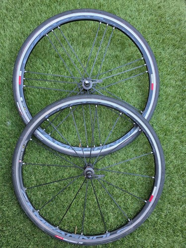 Set ruote campagnolo shamal - set,