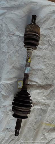 Semialbero ant compl sx - semialbero, ant.