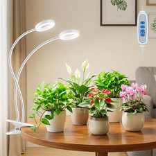 Lampada led spettro - lampada,