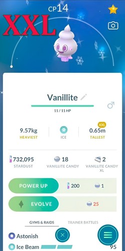 Lucido vanillite xxl - xxl, 1
