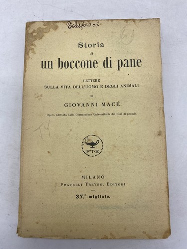Giovanni mace storia - -, un