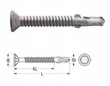 Vite autoperforante per
