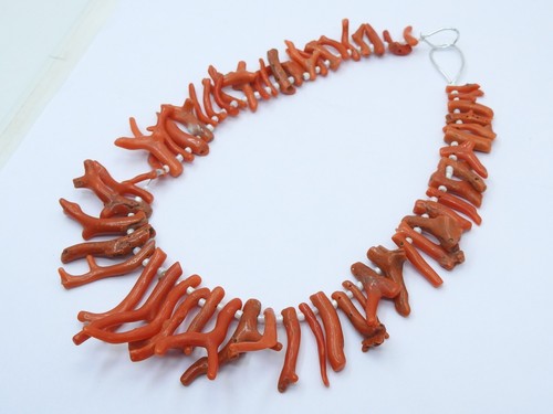 Ramo corallo rosso naturale - corallo,