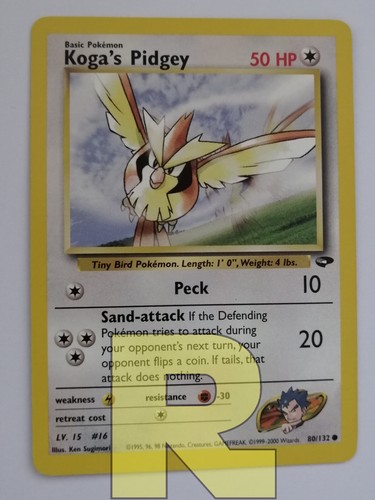 Koga pidgey gym challenge - gym,