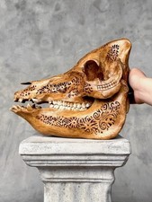 Scultura Tribale su Cranio di