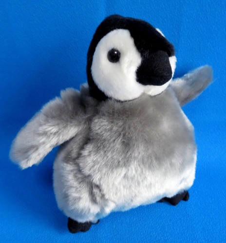 Pinguino pulcino antartide - pinguino,