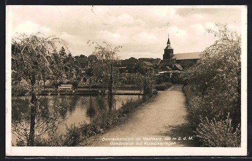 Cartolina benneckenstein - cartolina,