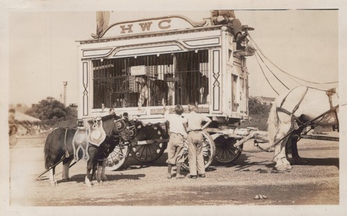 Hagenbeck wallace circus - hagenbeck,
