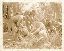 1936 Film Tarzan Escapes