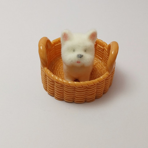 Mini cane bianco - , maltese